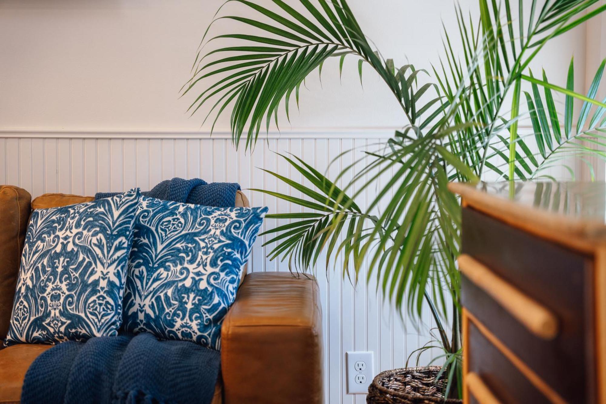 Swank Boutique Suites Άσλαντ Εξωτερικό φωτογραφία